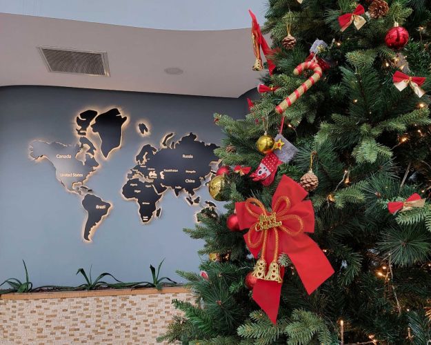 Коледа - Париж - Виена - Залцбург